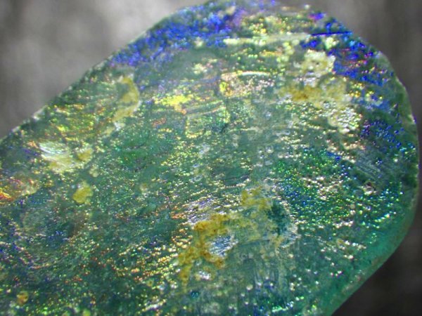 画像3: ローマングラスＦ (3)