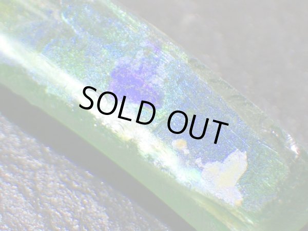 画像5: ローマングラスＨ (5)